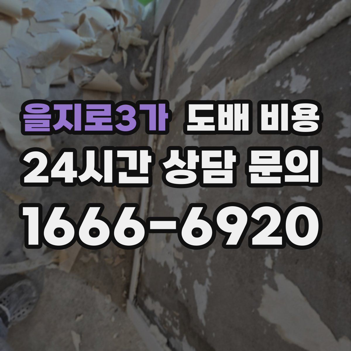 을지로3가 도배 비용