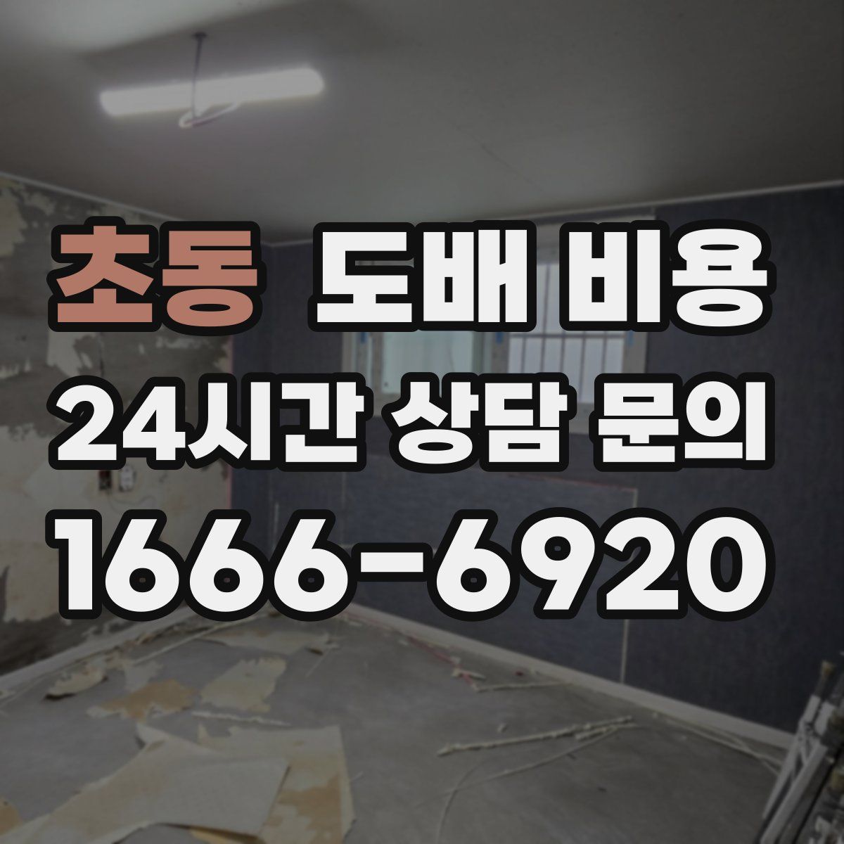 초동 도배 비용