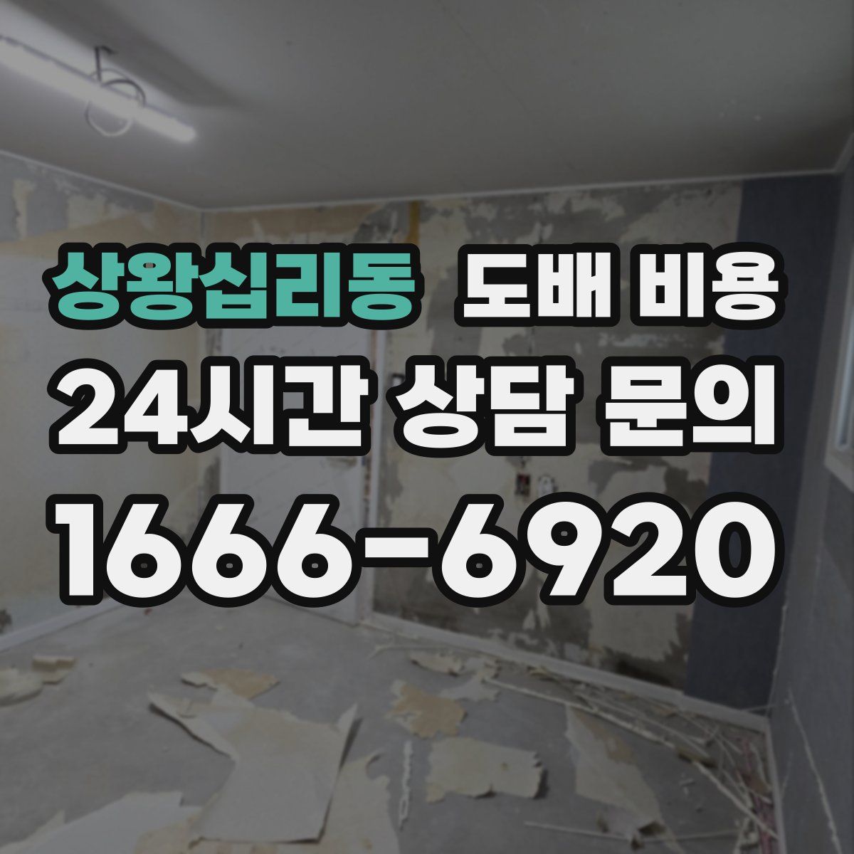 상왕십리동 도배 비용