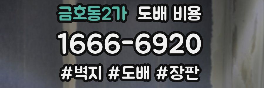 금호동2가 도배 비용