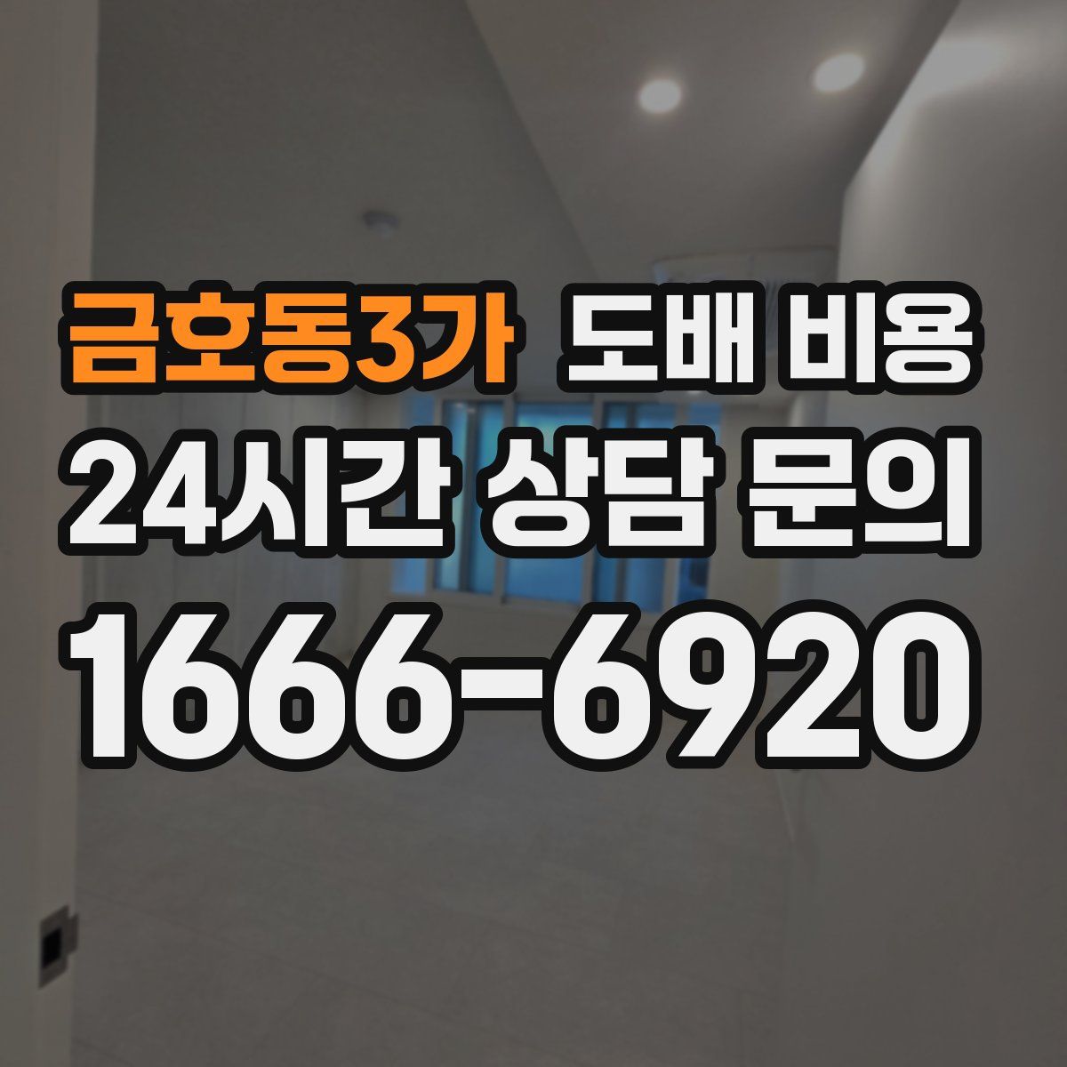 금호동3가 도배 비용