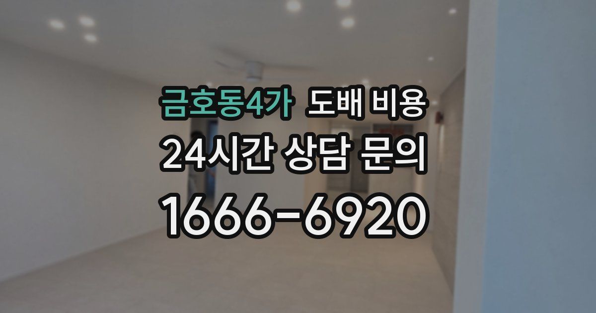 금호동4가 도배 비용
