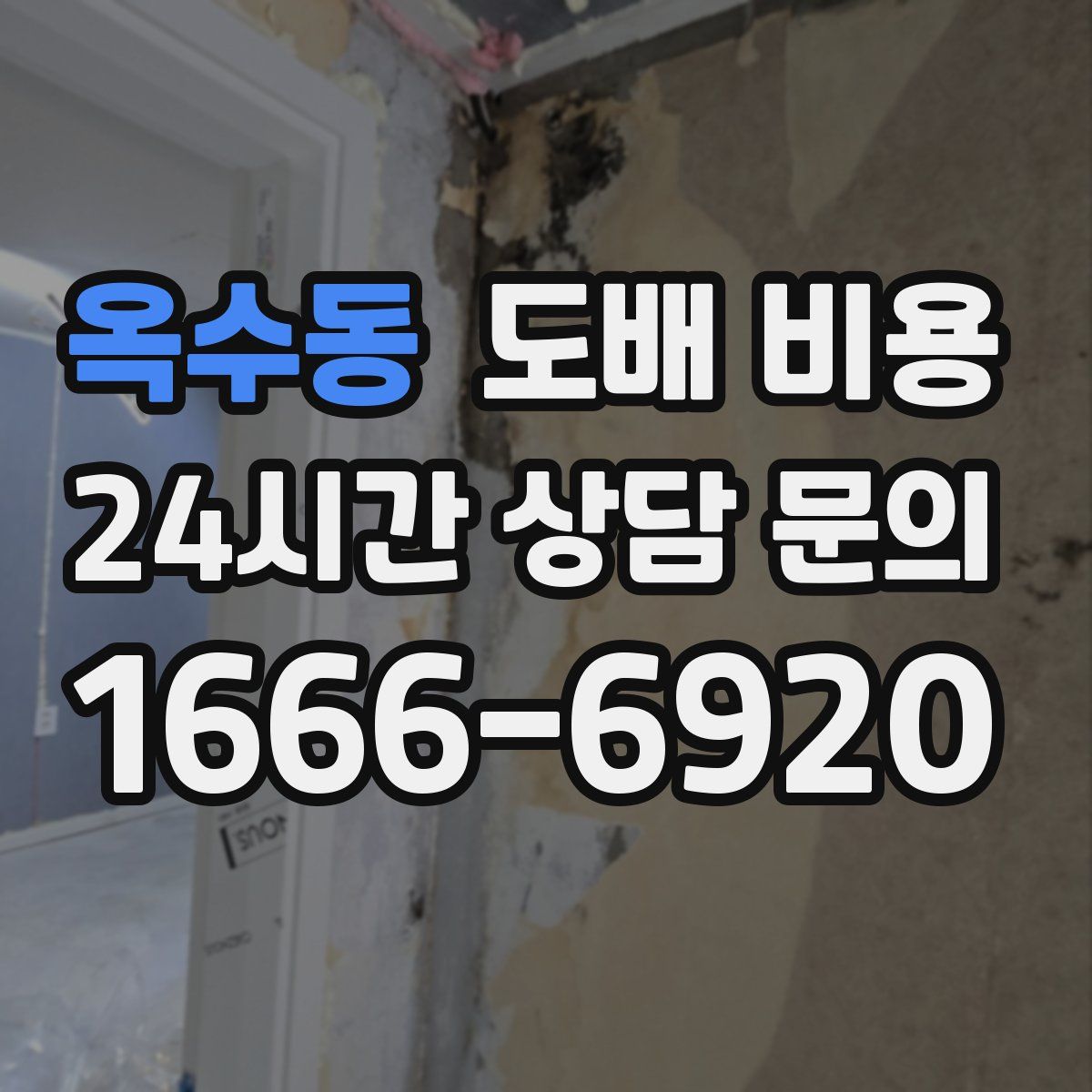 옥수동 도배 비용