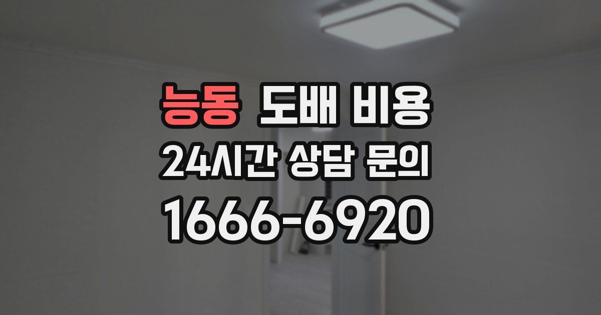 능동 도배 비용