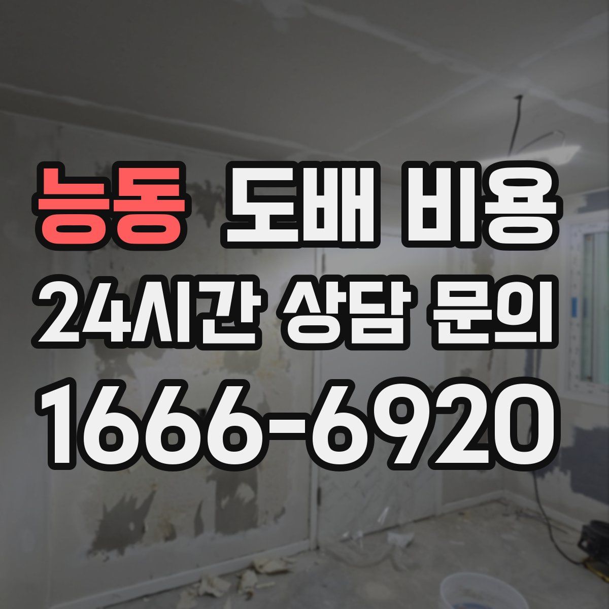 능동 도배 비용