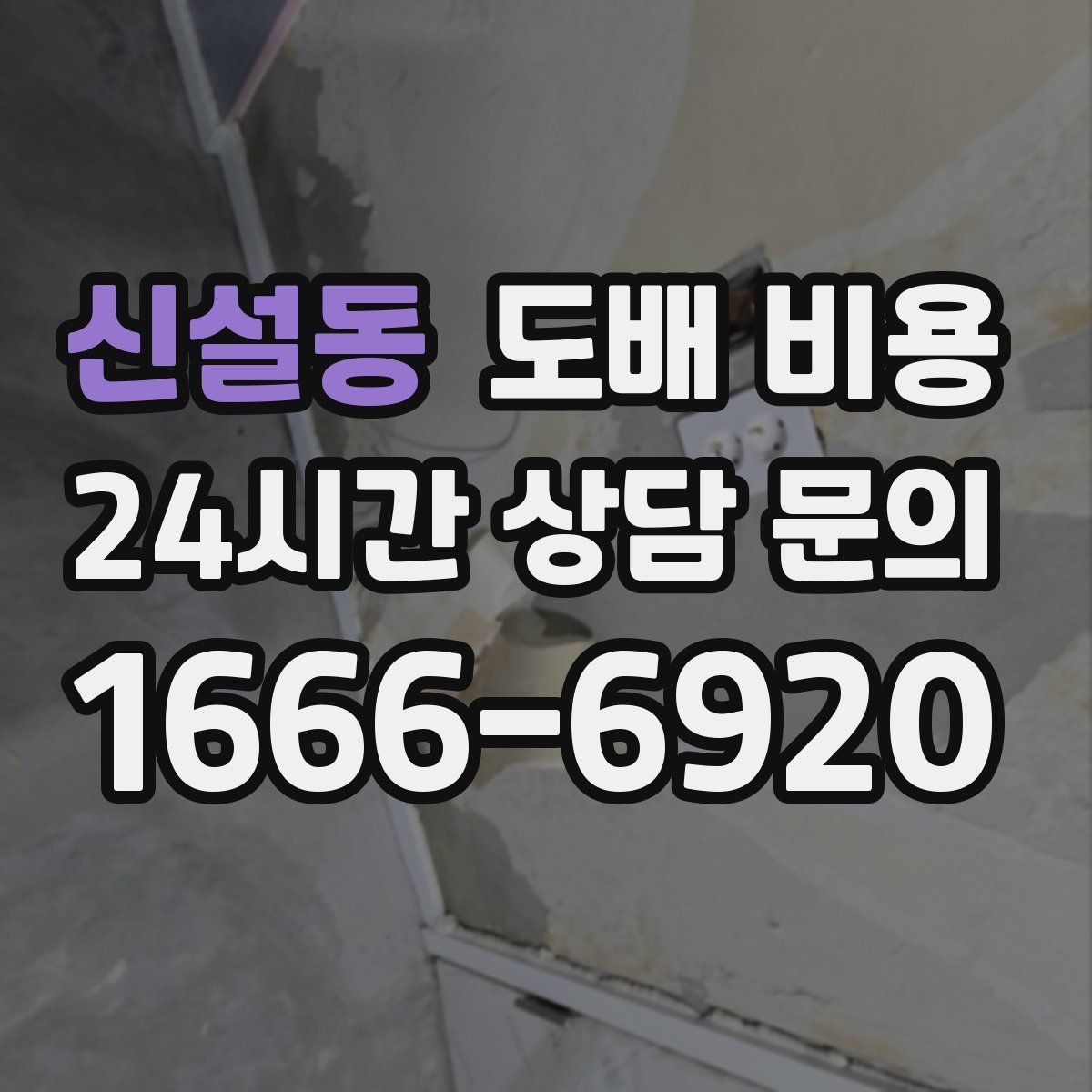 신설동 도배 비용 비교에서 동일 조건 확인이 중요한 이유