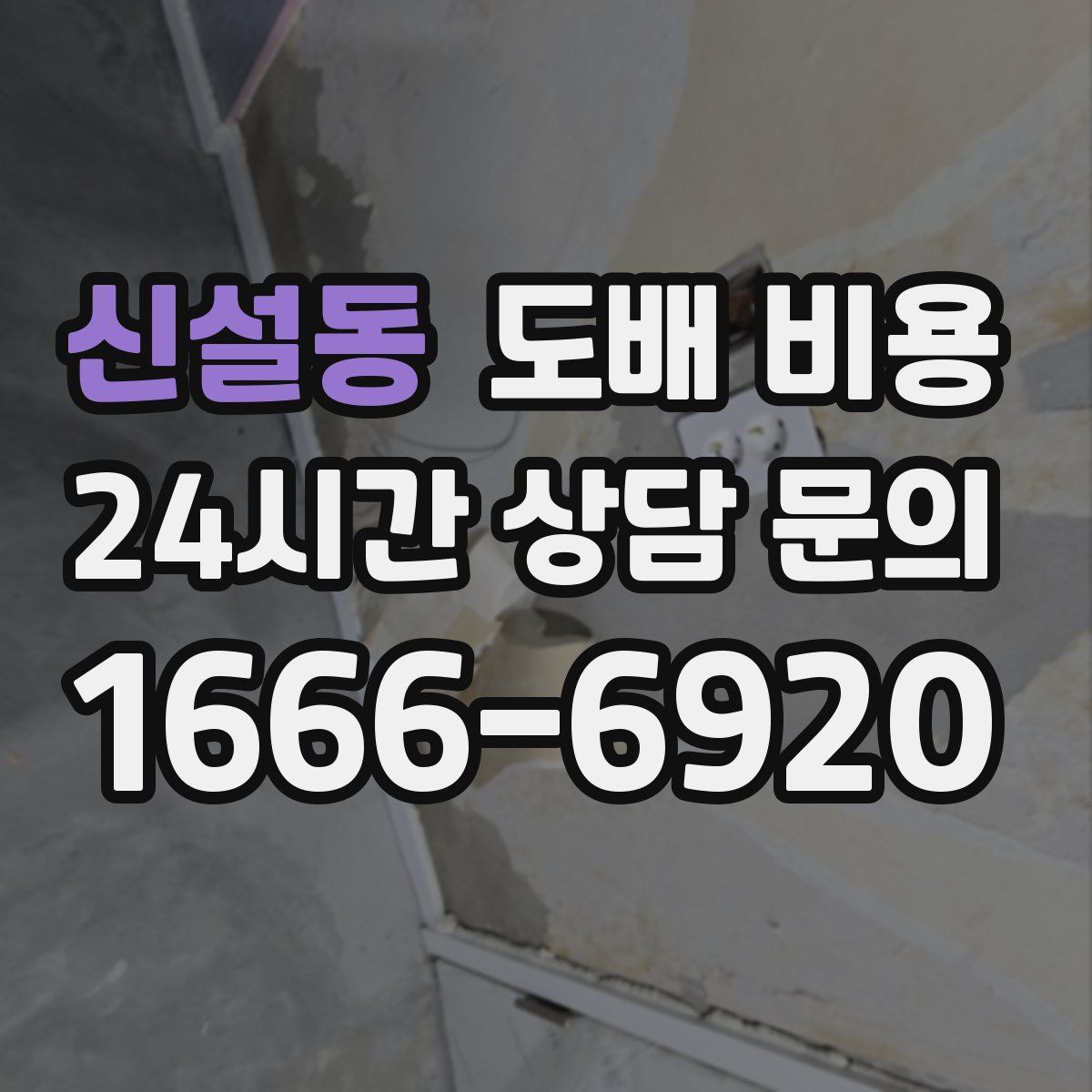 신설동 도배 비용