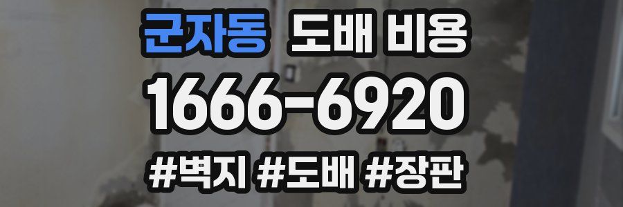 군자동 도배 비용