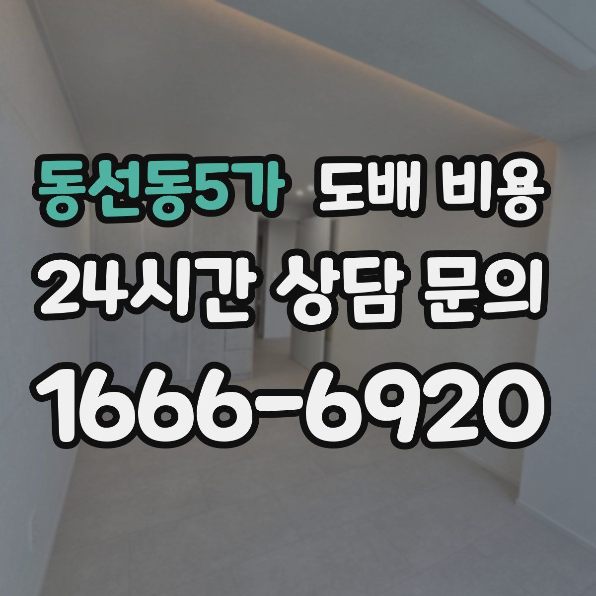 동선동5가 도배 비용