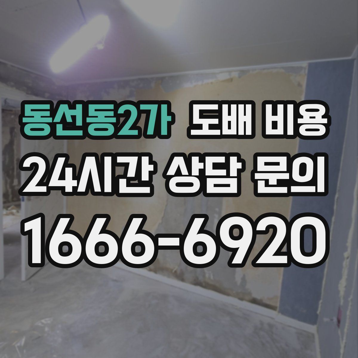 동선동2가 도배 비용