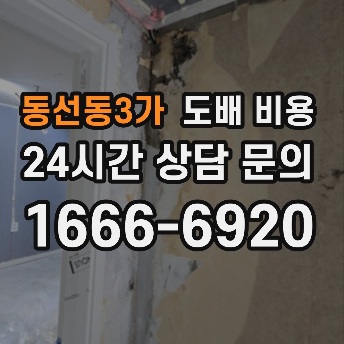 동선동3가 도배 비용