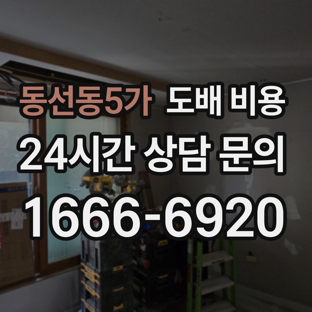 동선동5가 도배 비용
