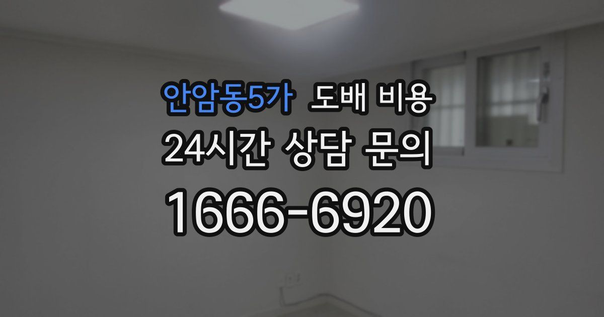 안암동5가 도배 비용