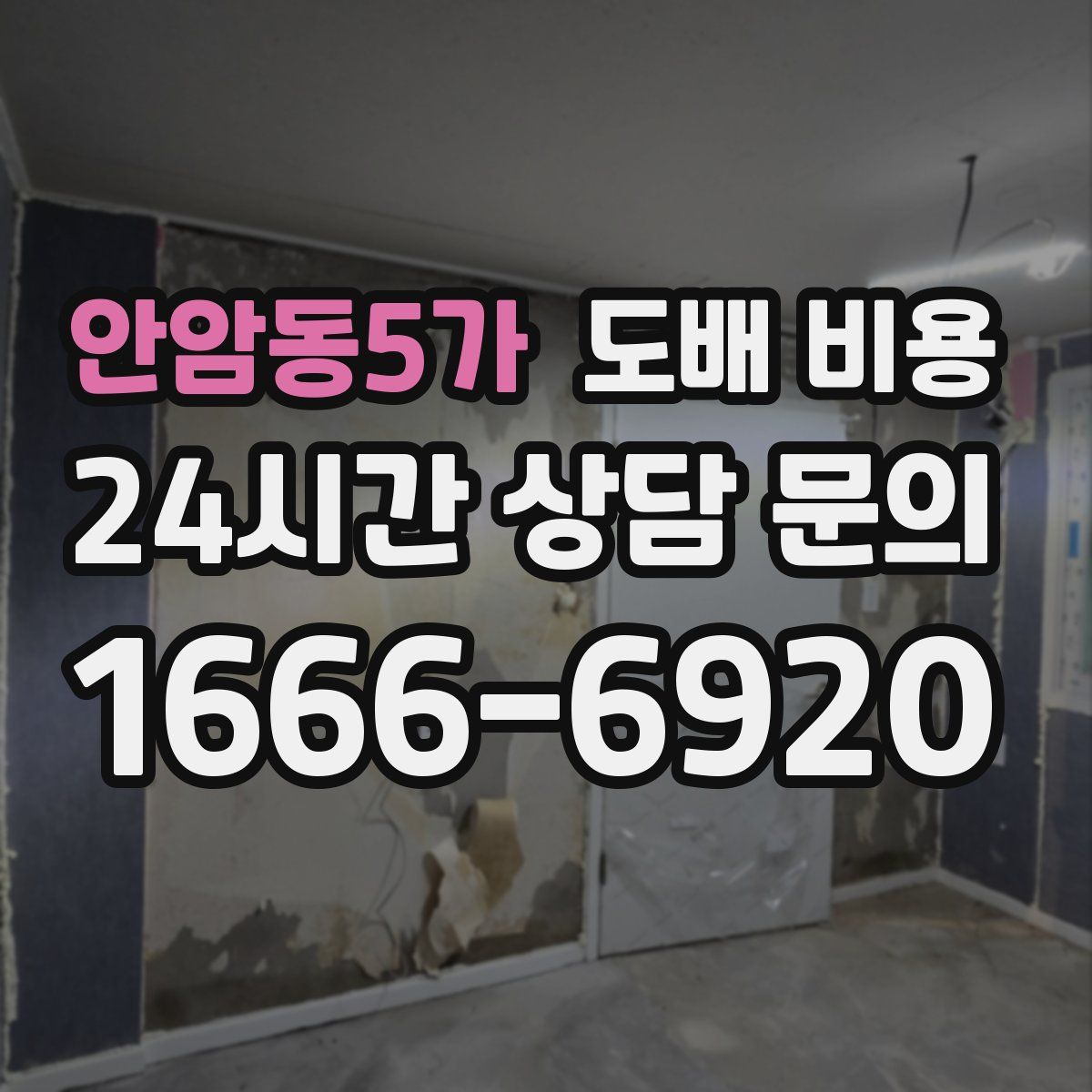 안암동5가 도배 비용