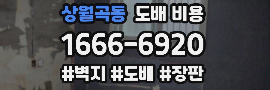 상월곡동 도배 비용