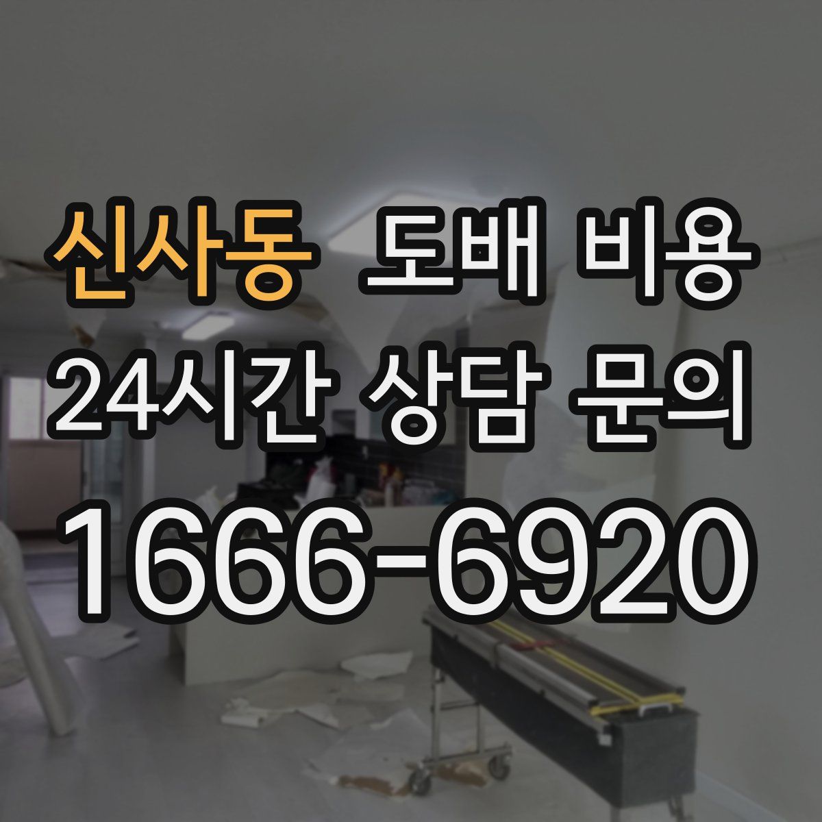 신사동 도배 비용
