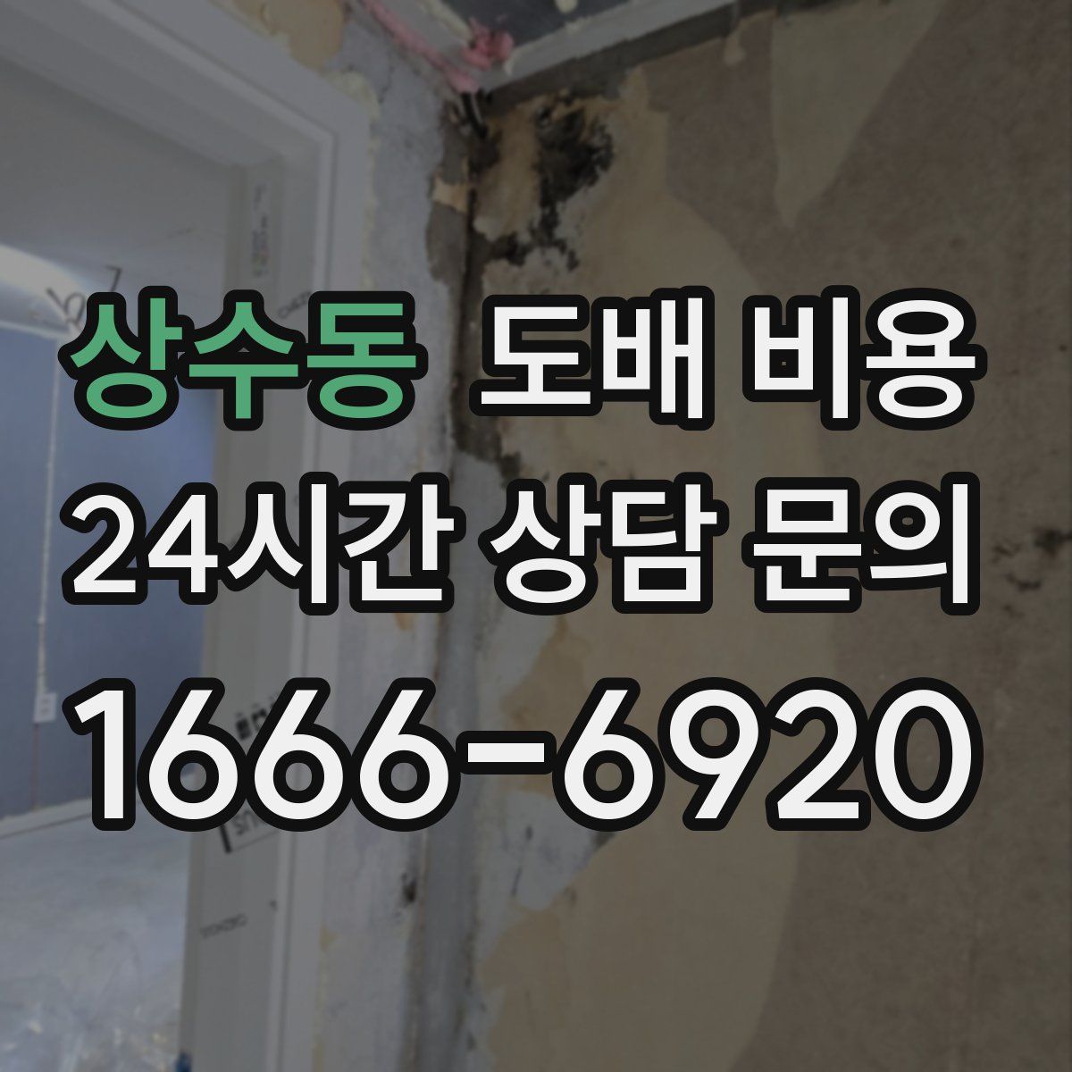 상수동 도배 비용