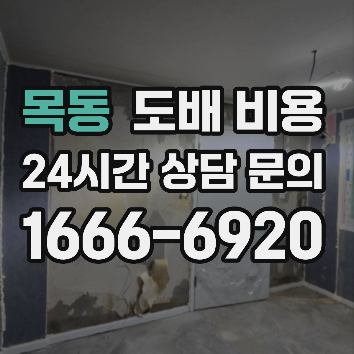 목동 도배 비용