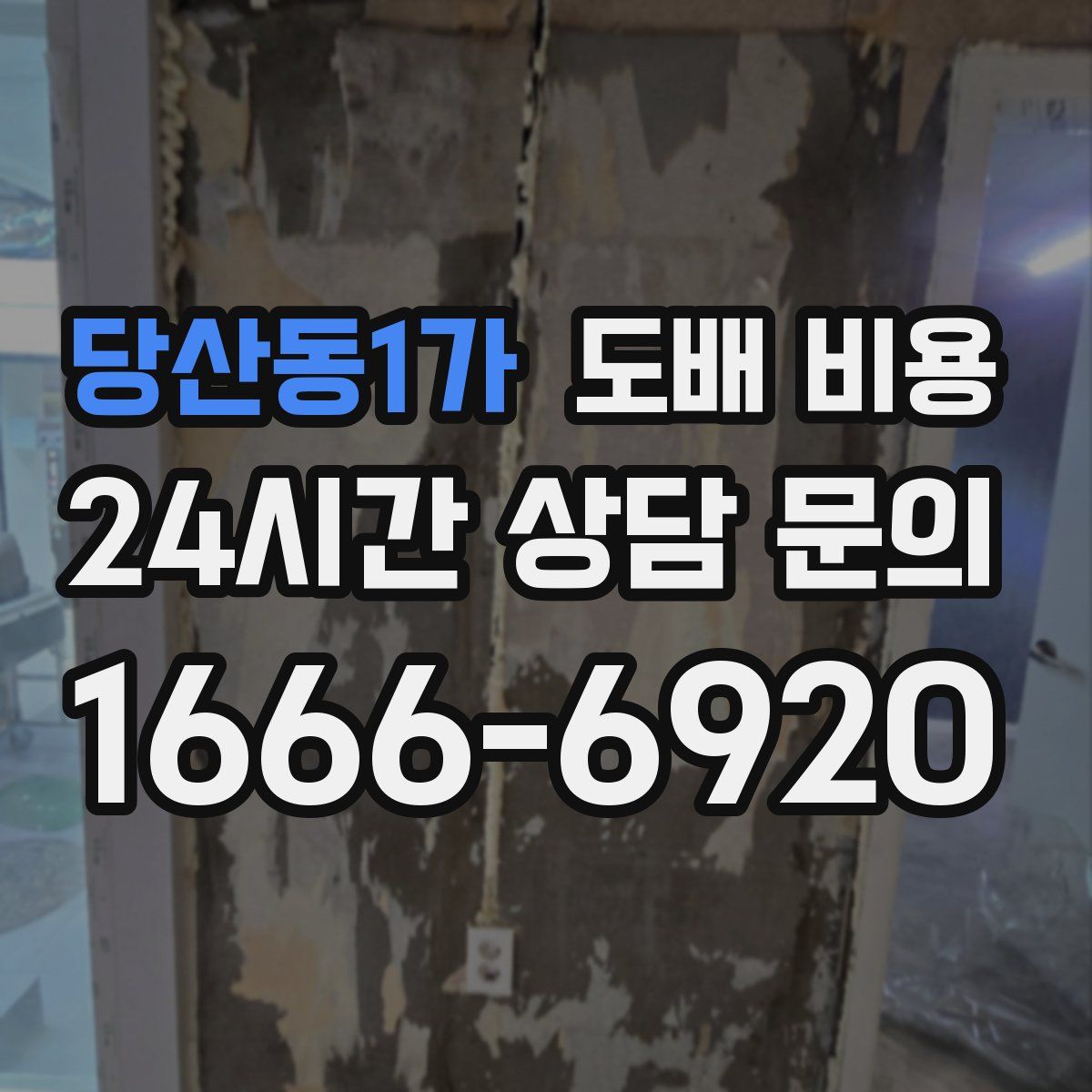 당산동1가 도배 비용