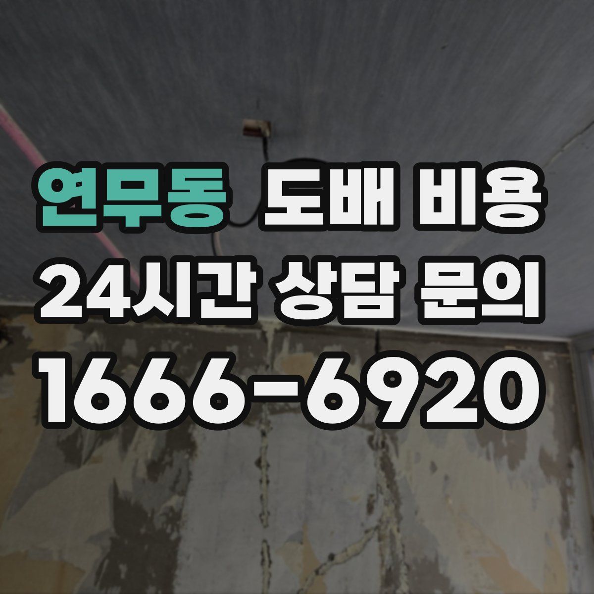 연무동 도배 비용