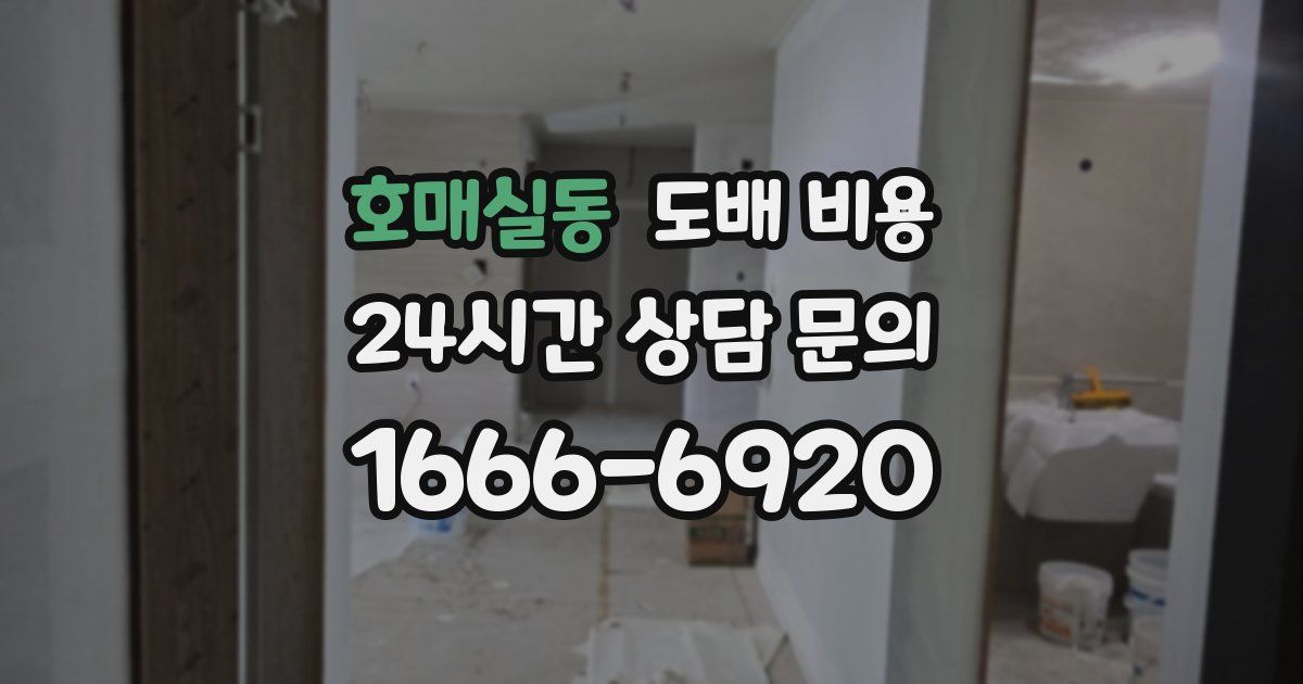 호매실동 도배 비용