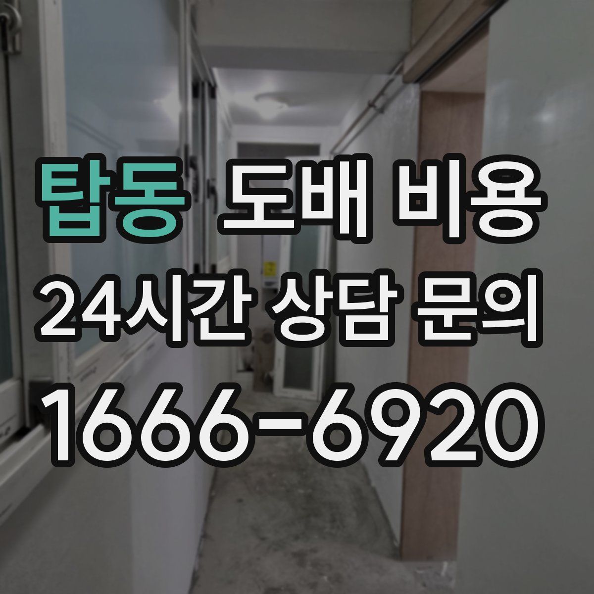 탑동 도배 비용