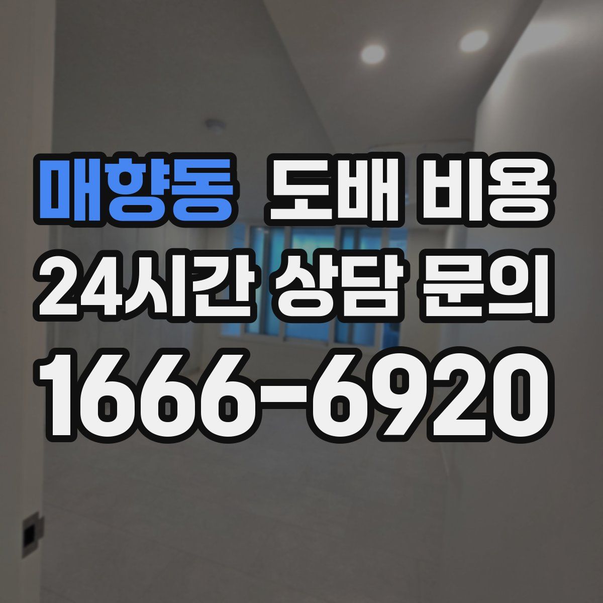 매향동 도배 비용