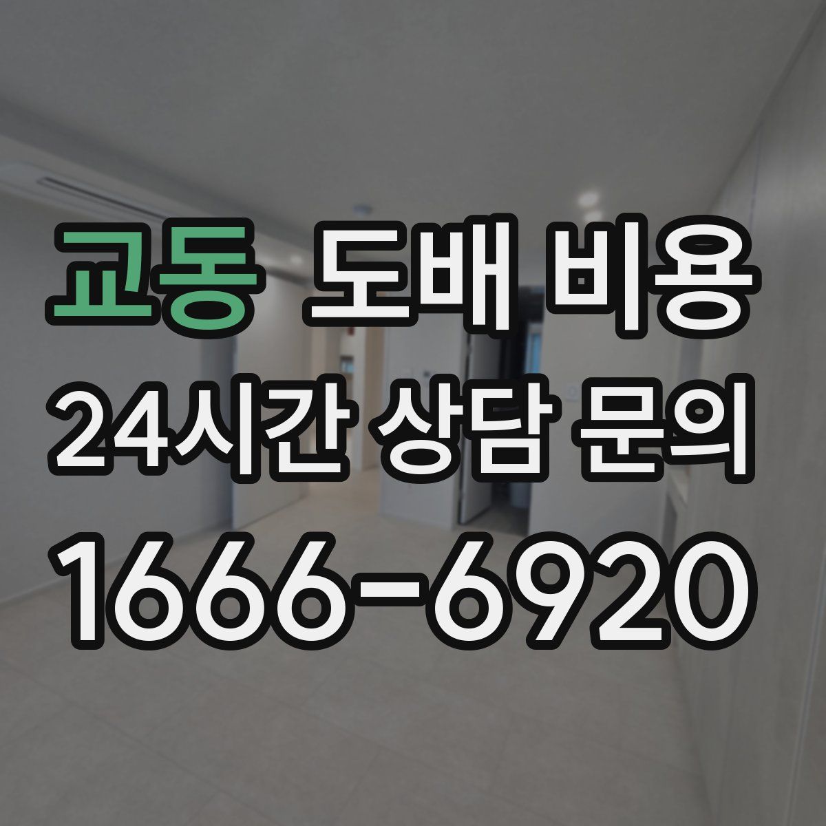 교동 도배 비용