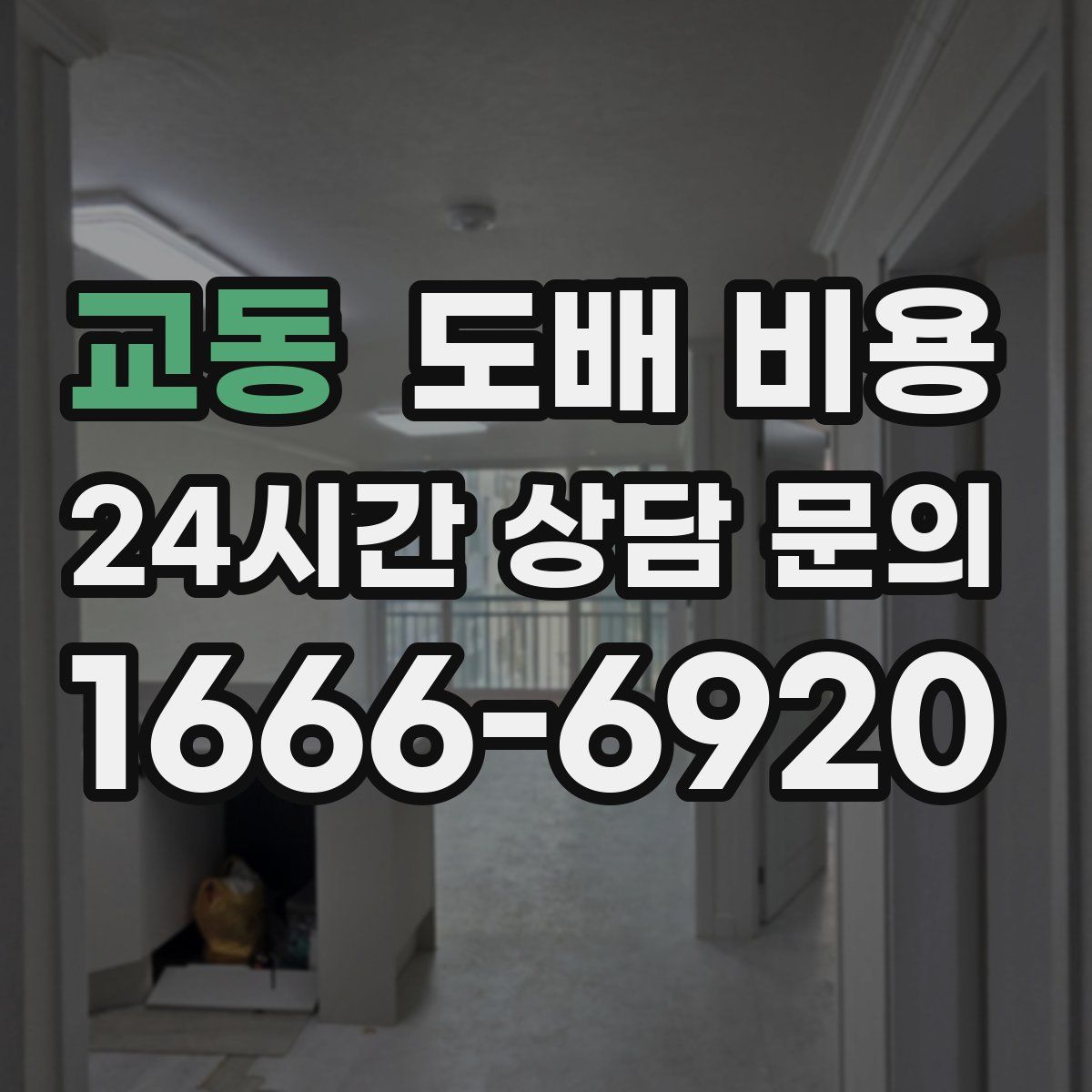 교동 도배 비용
