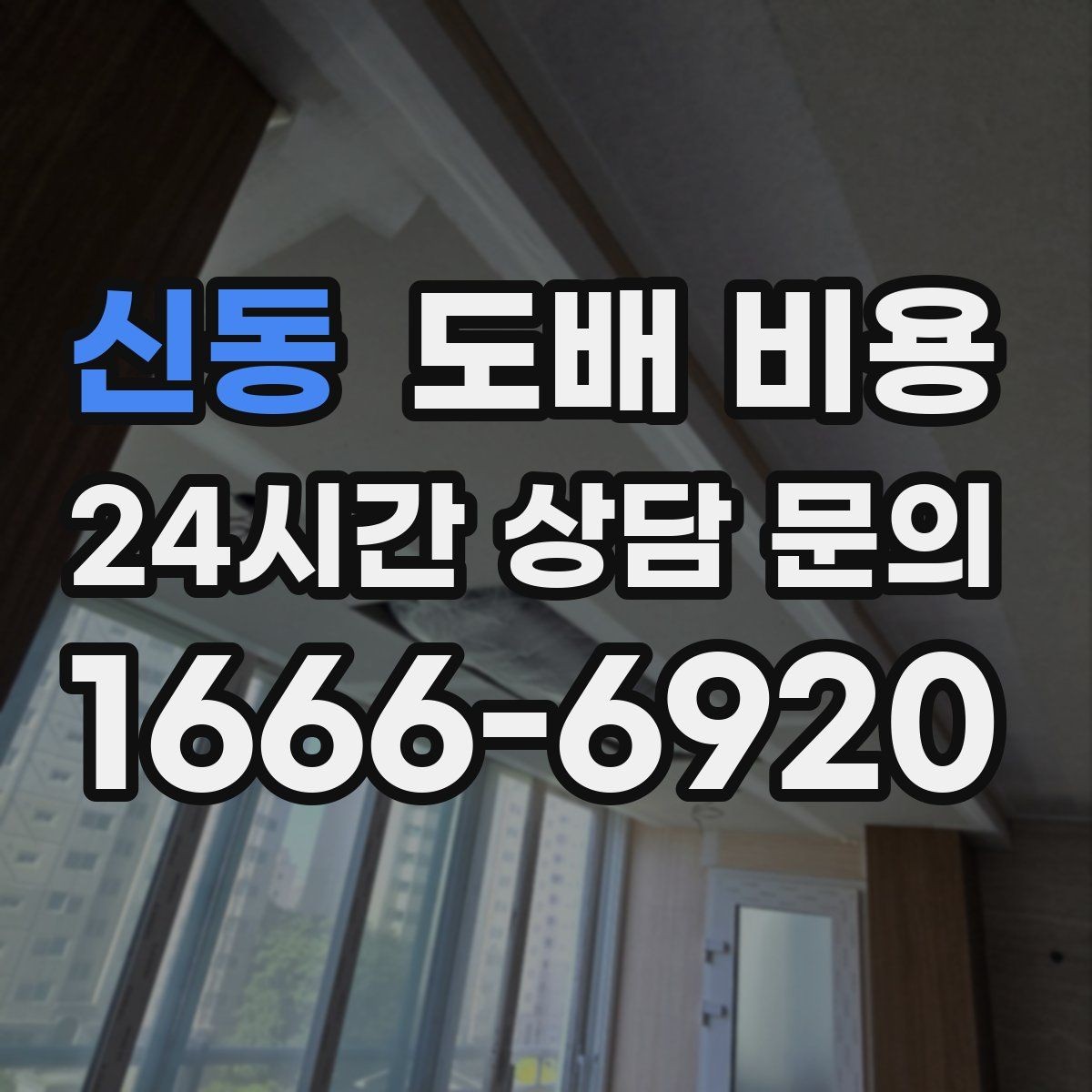 신동 도배 비용 차이를 만드는 벽 상태와 자재