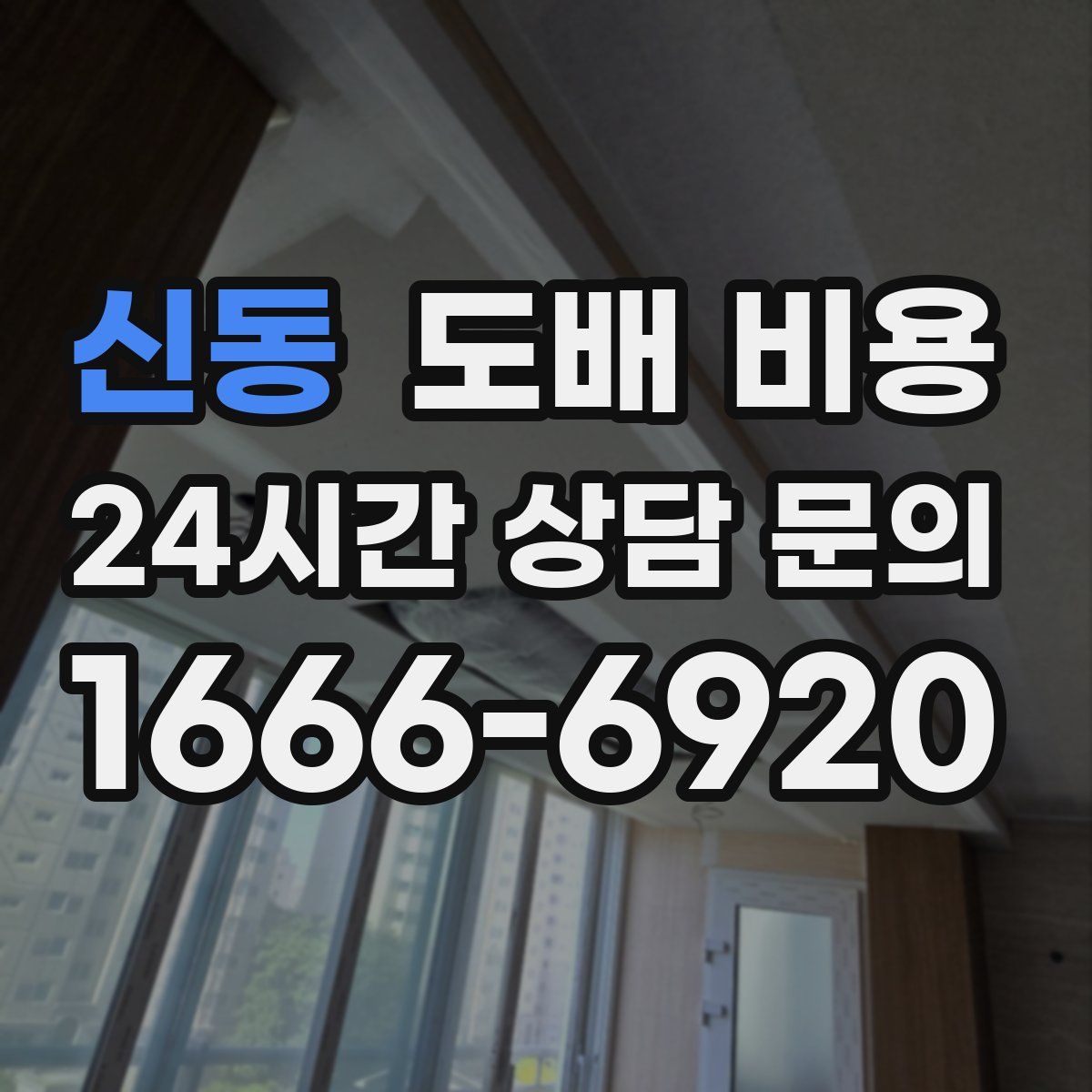 신동 도배 비용