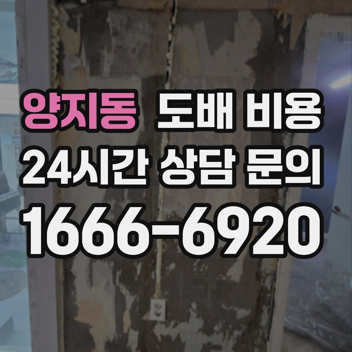 양지동 도배 비용