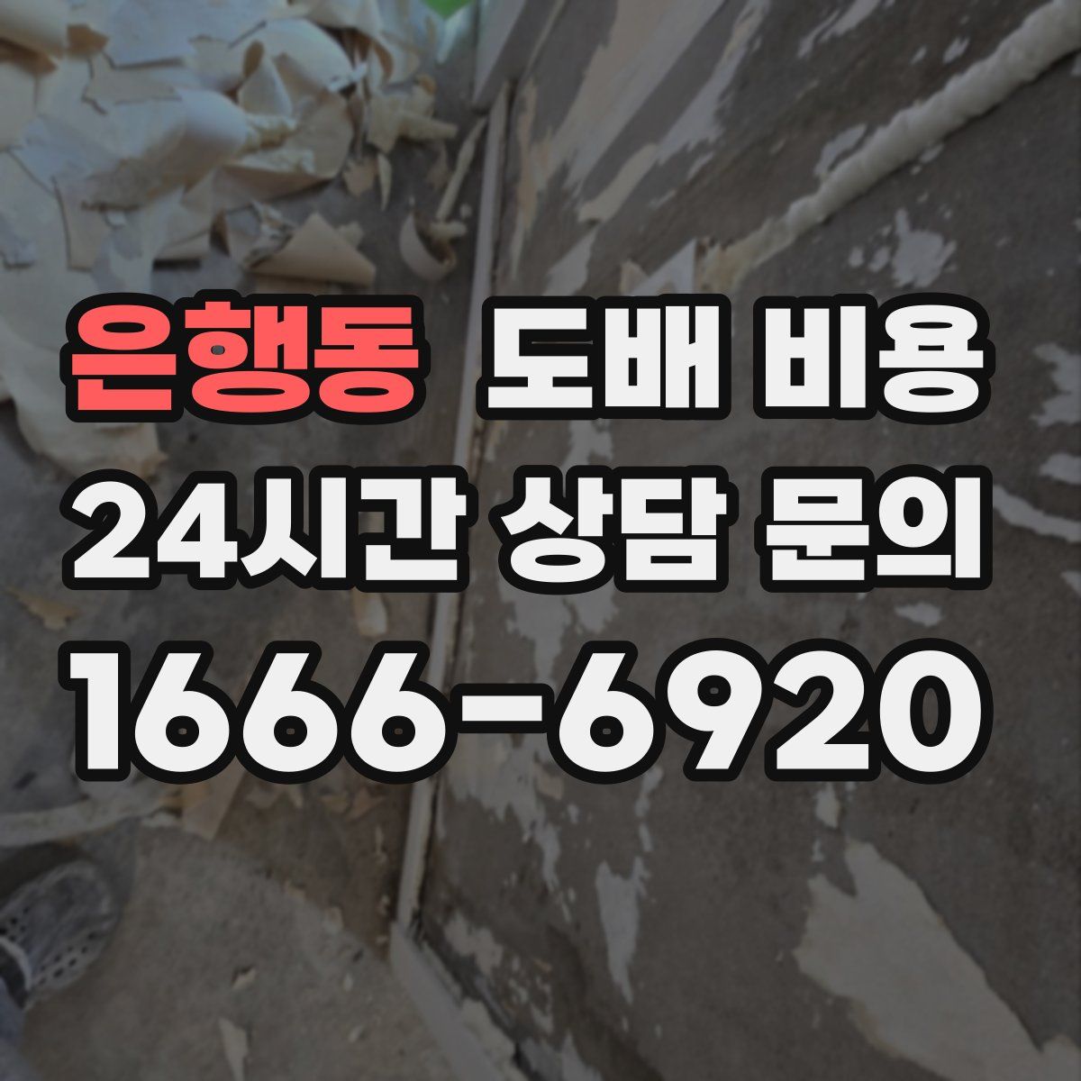 은행동 도배 비용