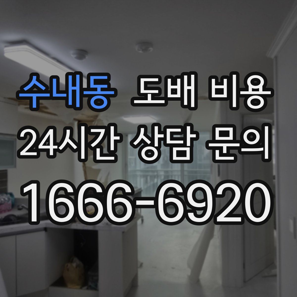수내동 도배 비용