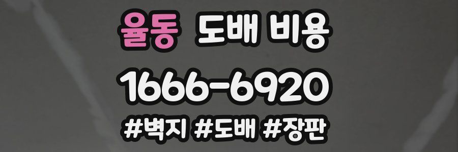 율동 도배 비용