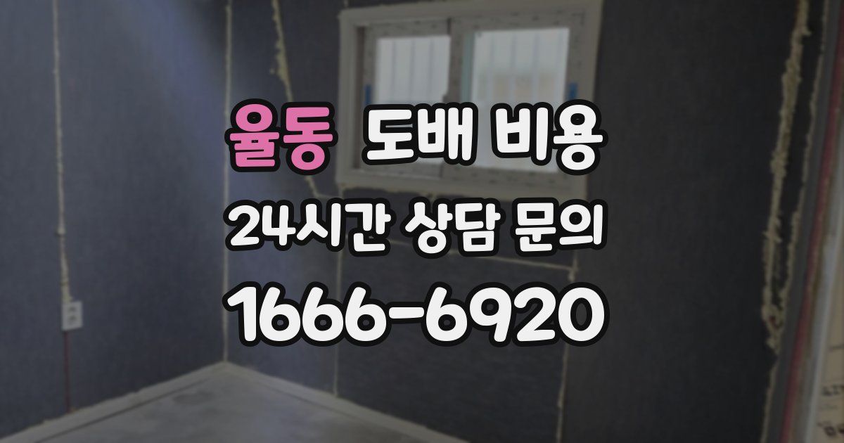 율동 도배 비용