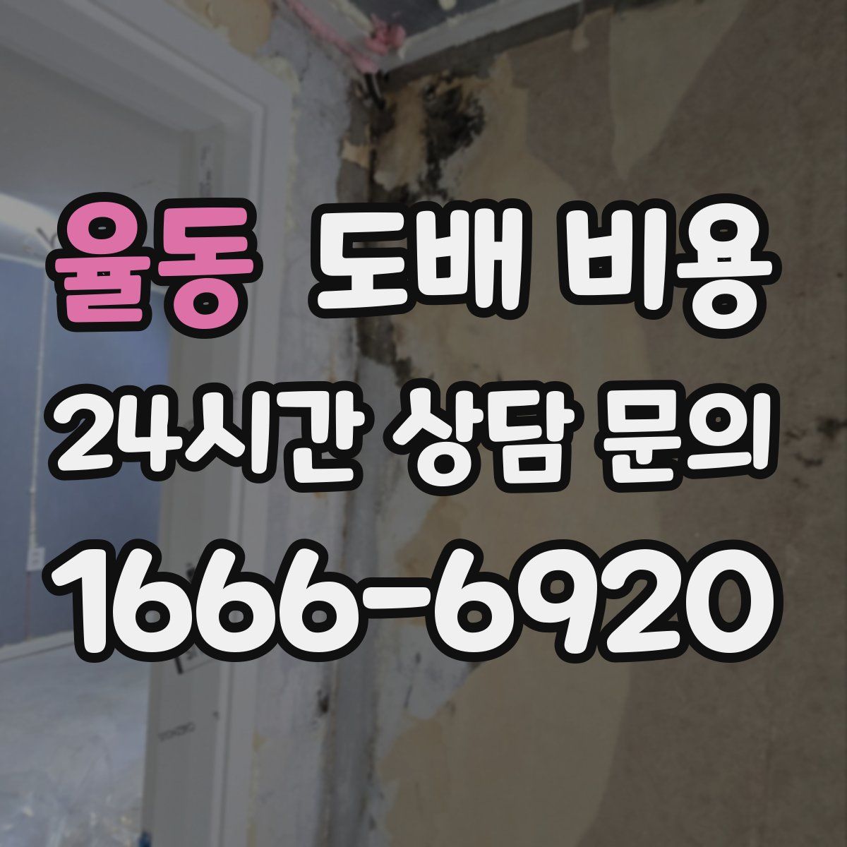 율동 도배 비용