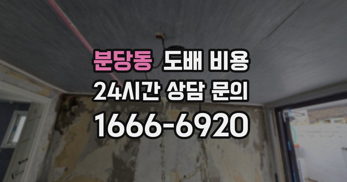 분당동 도배 비용