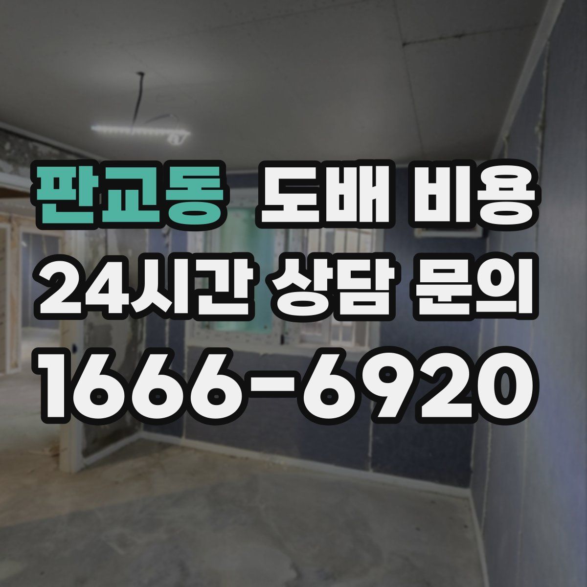 판교동 도배 비용