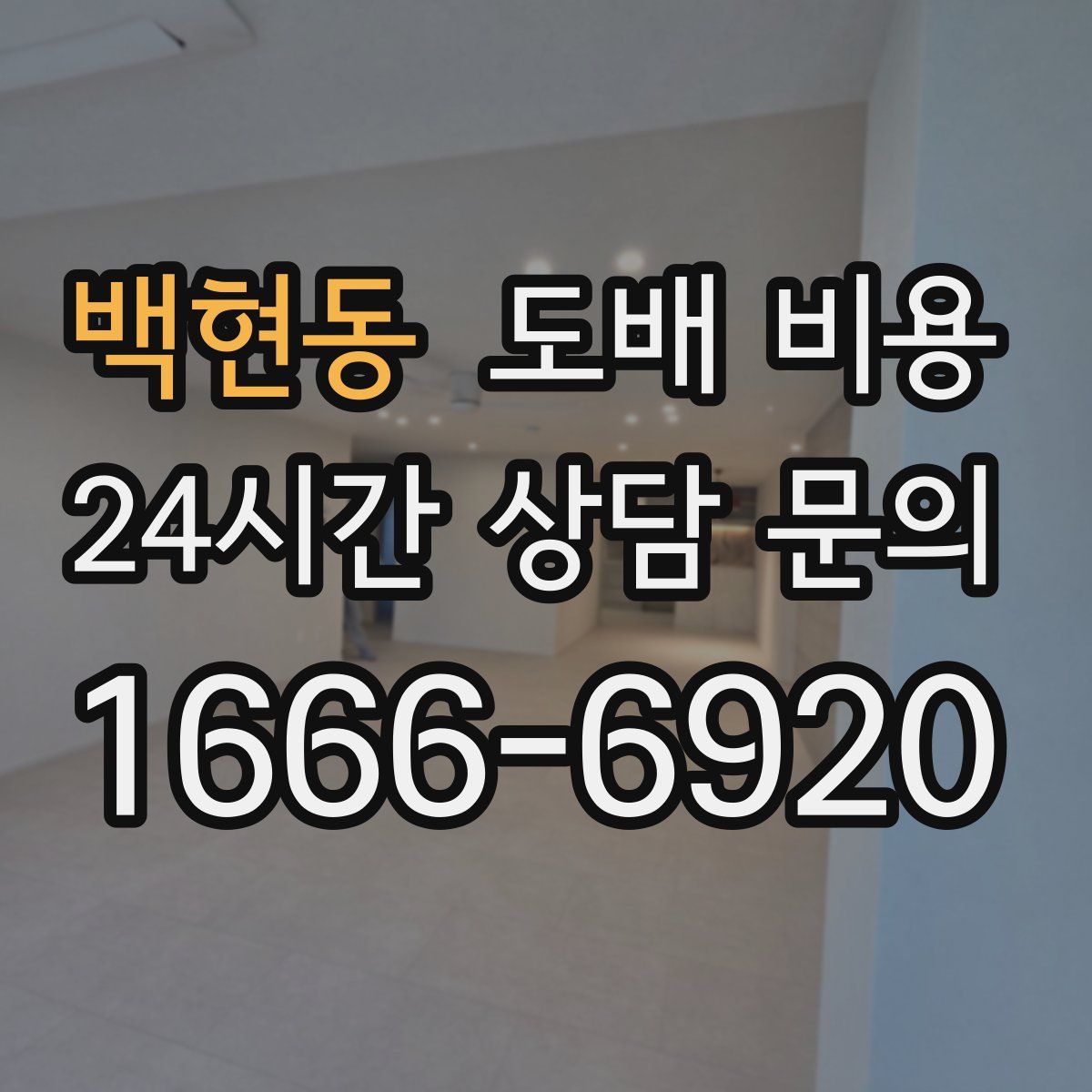 백현동 도배 비용
