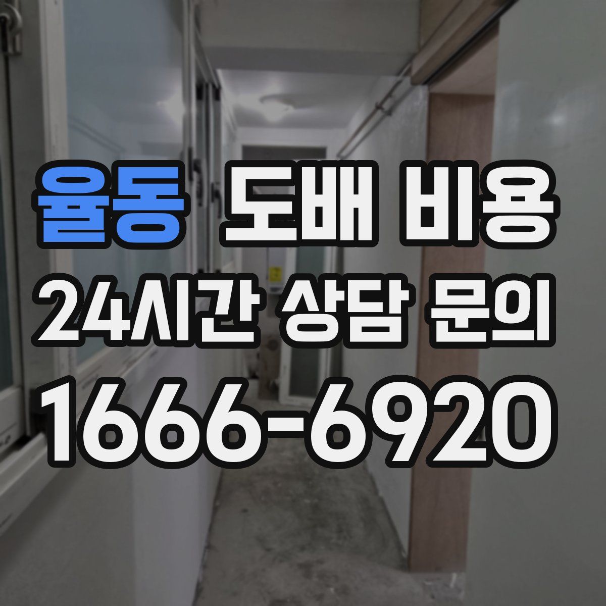 율동 도배 비용