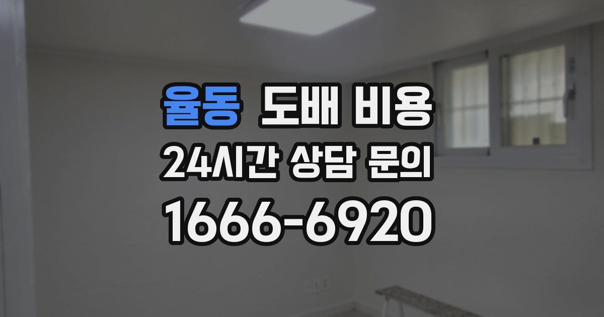 율동 도배 비용