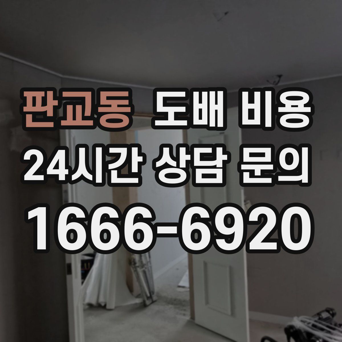 판교동 도배 비용