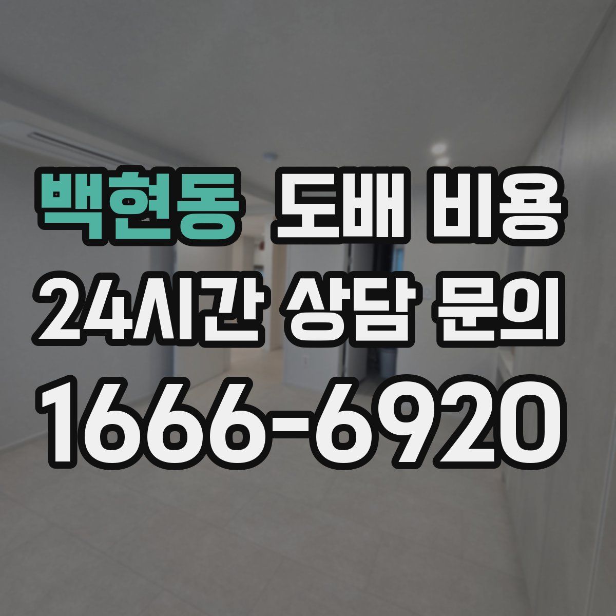 백현동 도배 비용