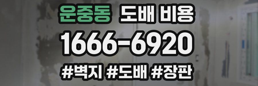 운중동 도배 비용