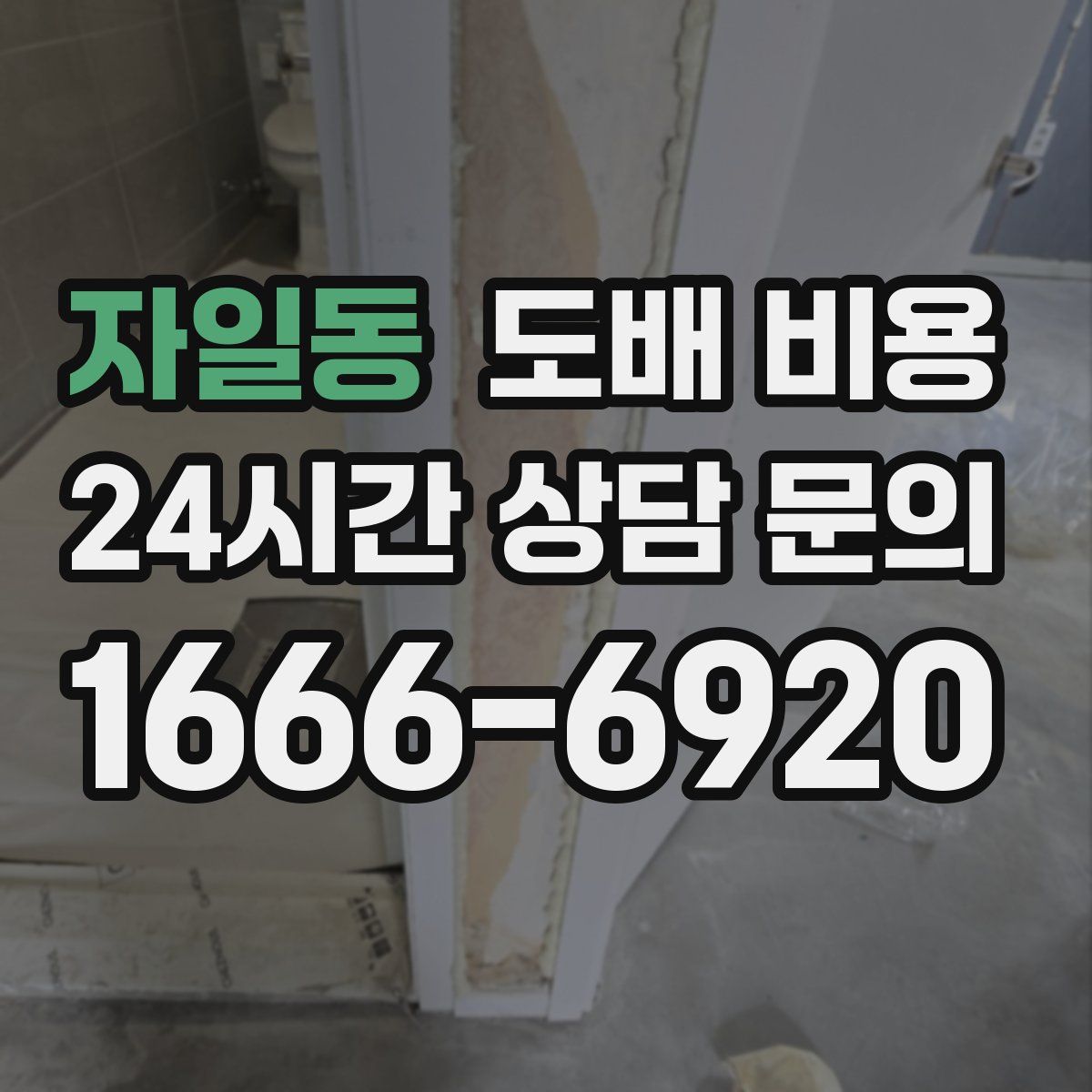 자일동 도배 비용