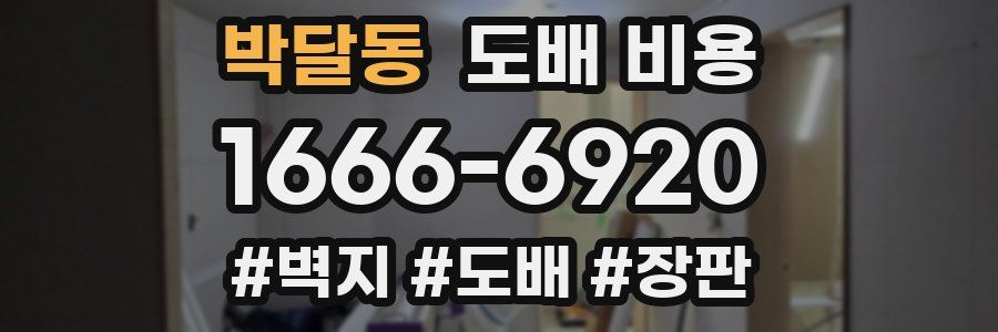 박달동 도배 비용