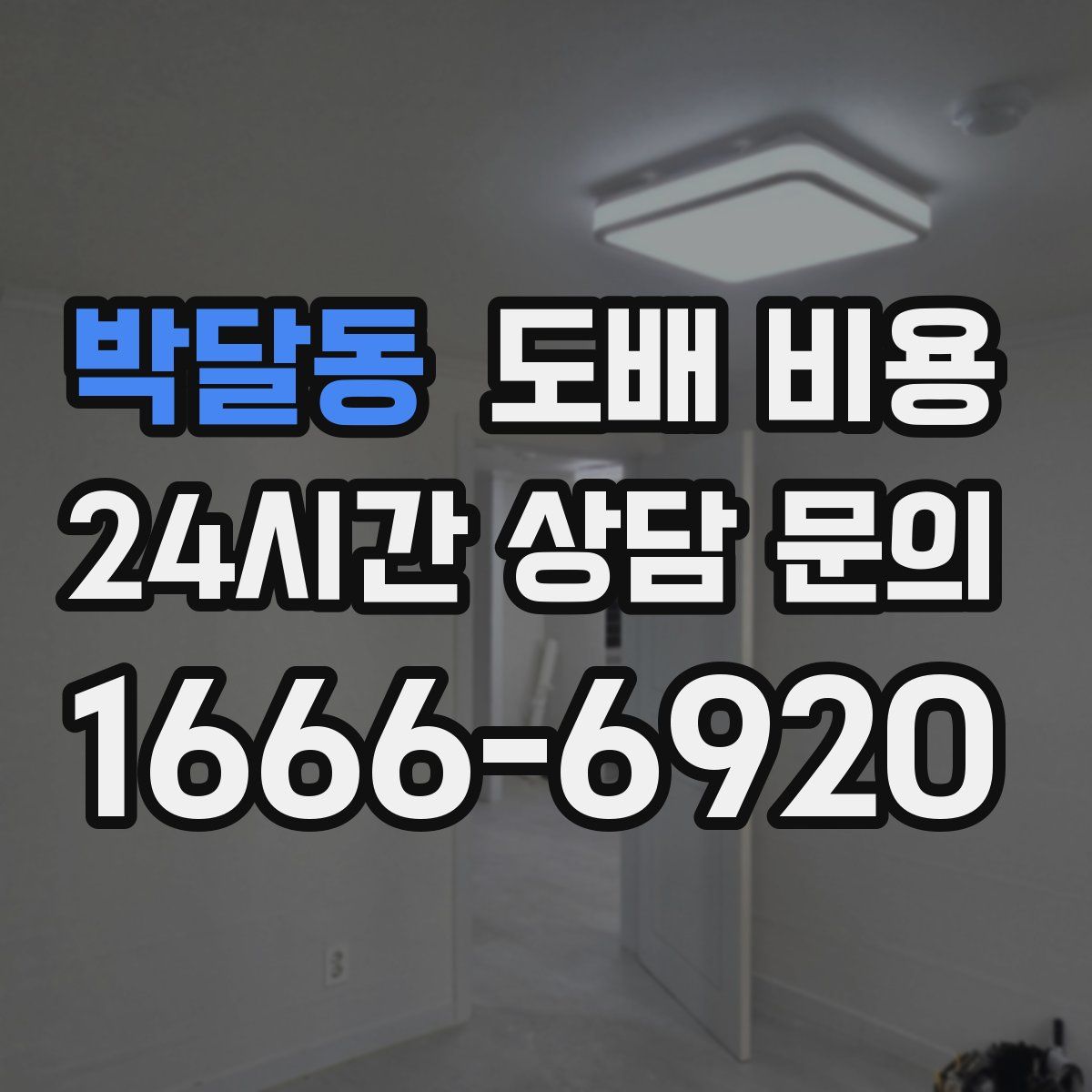 박달동 도배 비용