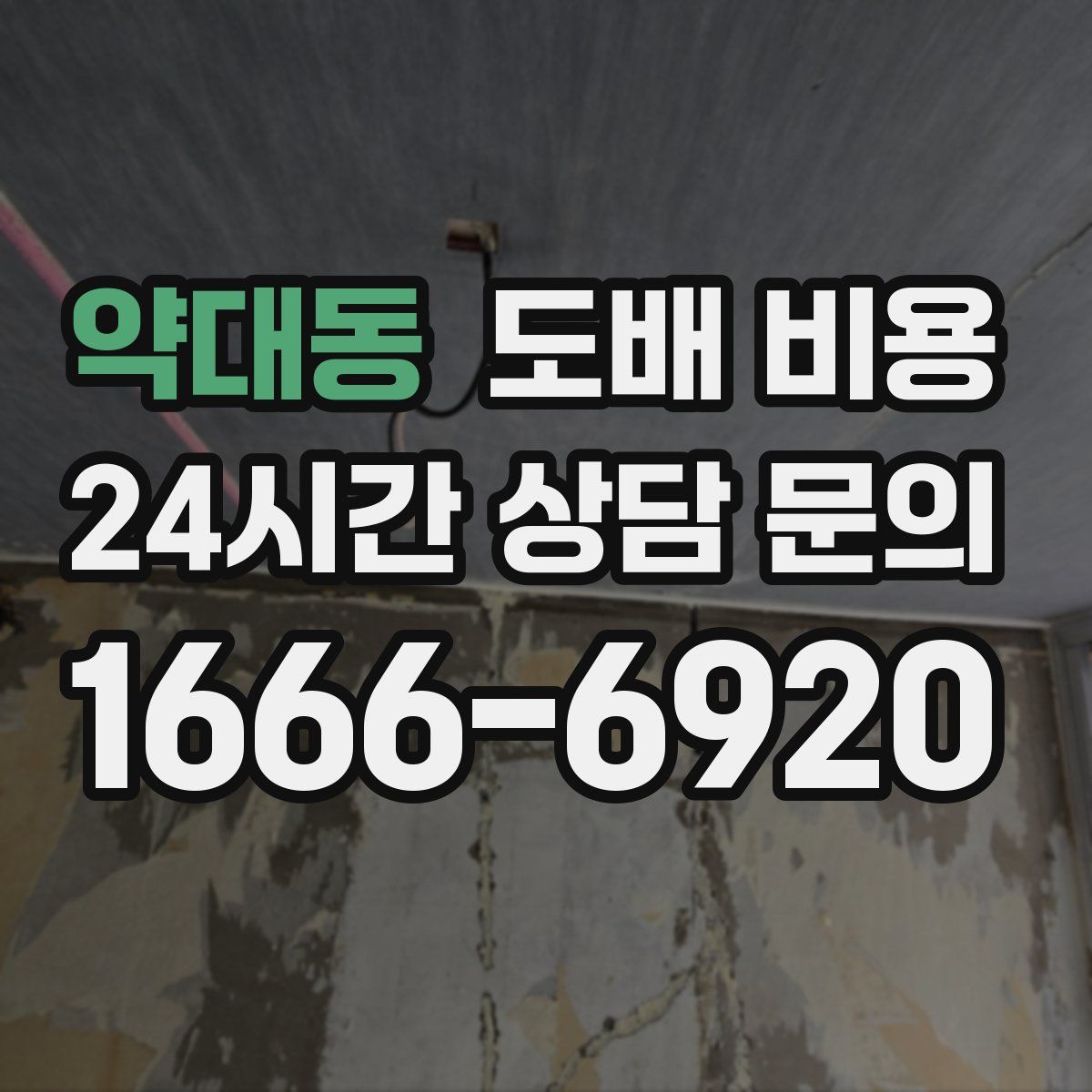 약대동 도배 비용