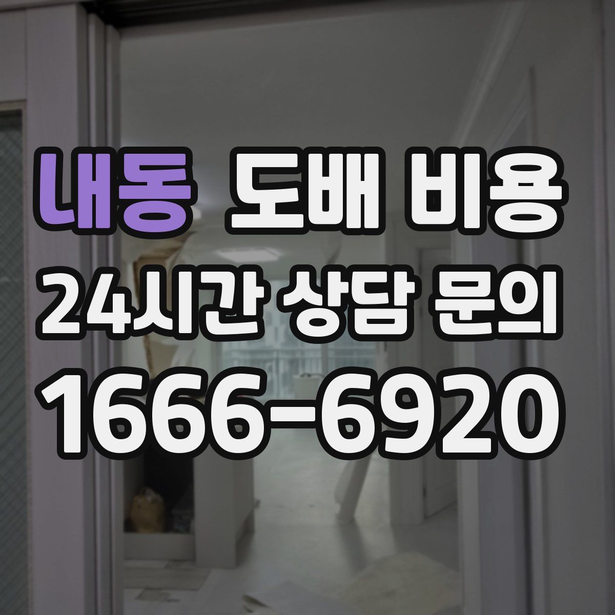 내동 도배 비용